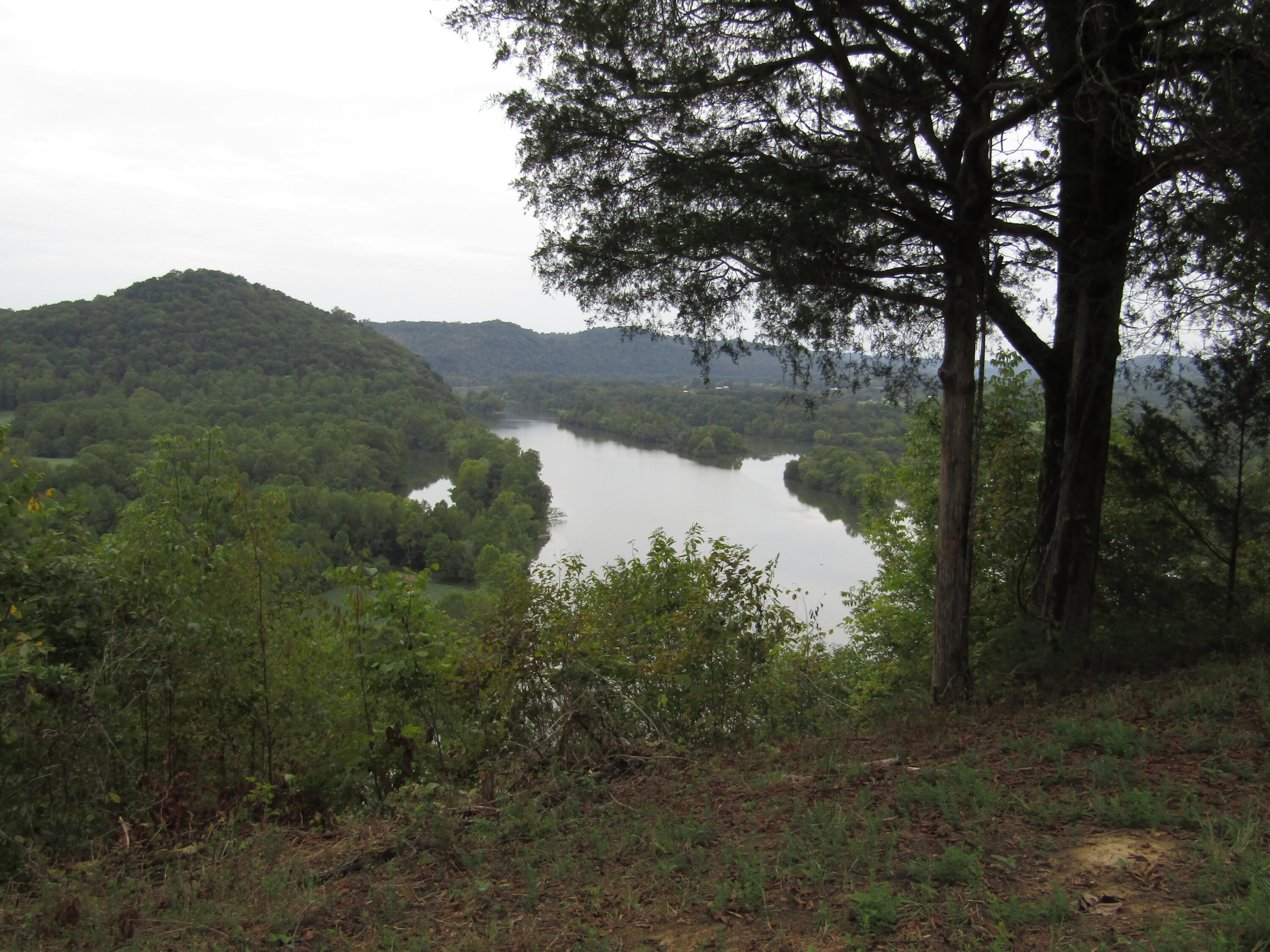 22.73-ac Big Branch Road Granville, TN 38564 - Photo 8 of 32 IMG_3806