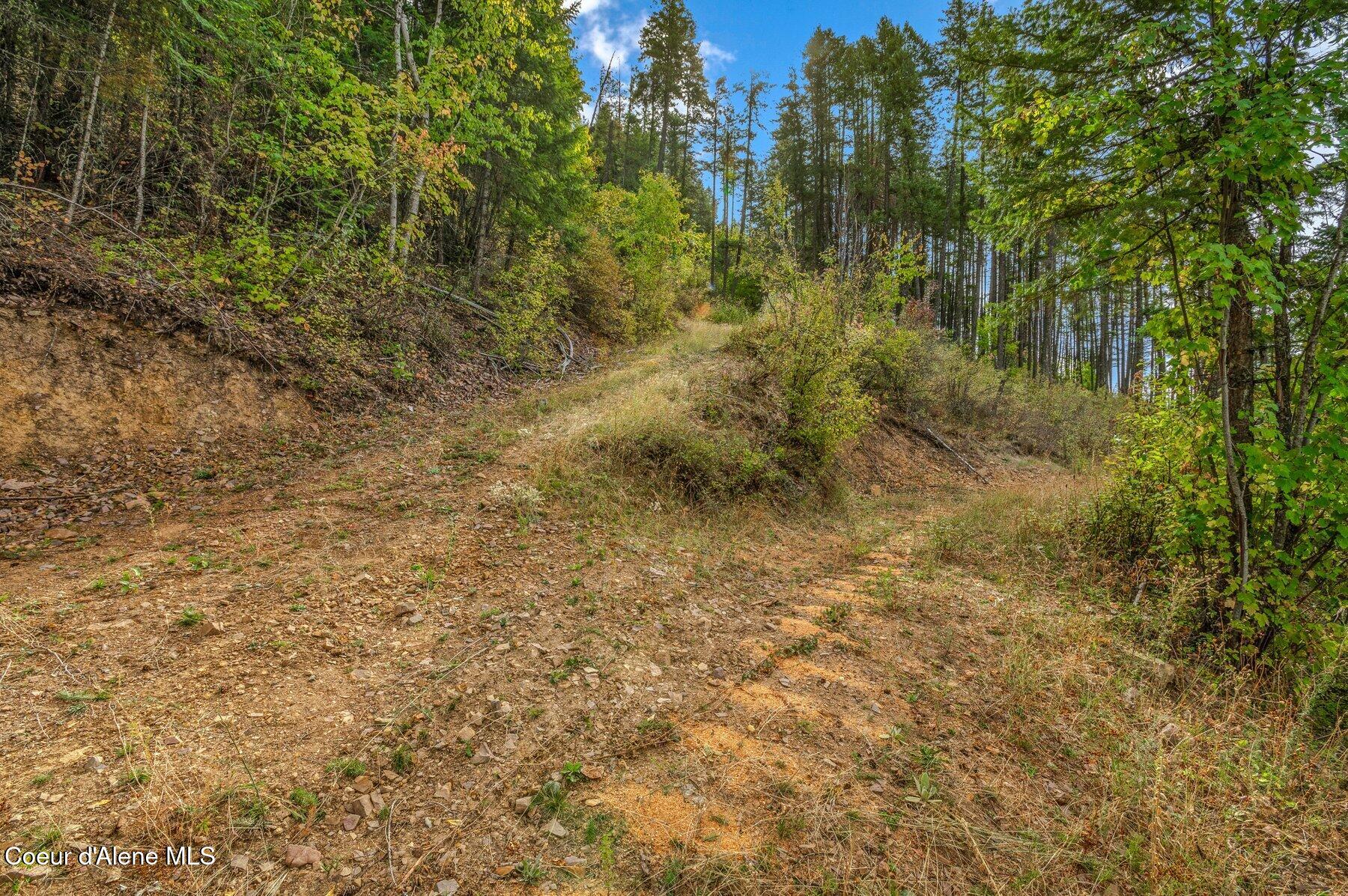 818 Silver Creek Road Clark Fork, ID 83811 - Photo 37 of 45 Walkable