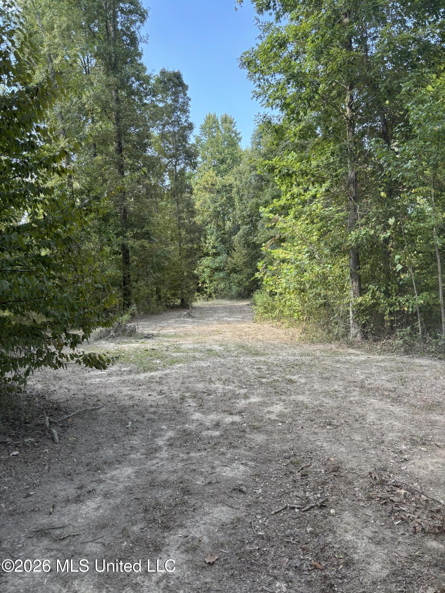 Tinsley Road Bentonia, MS 39040 - Photo 10 of 36 IMG_1441