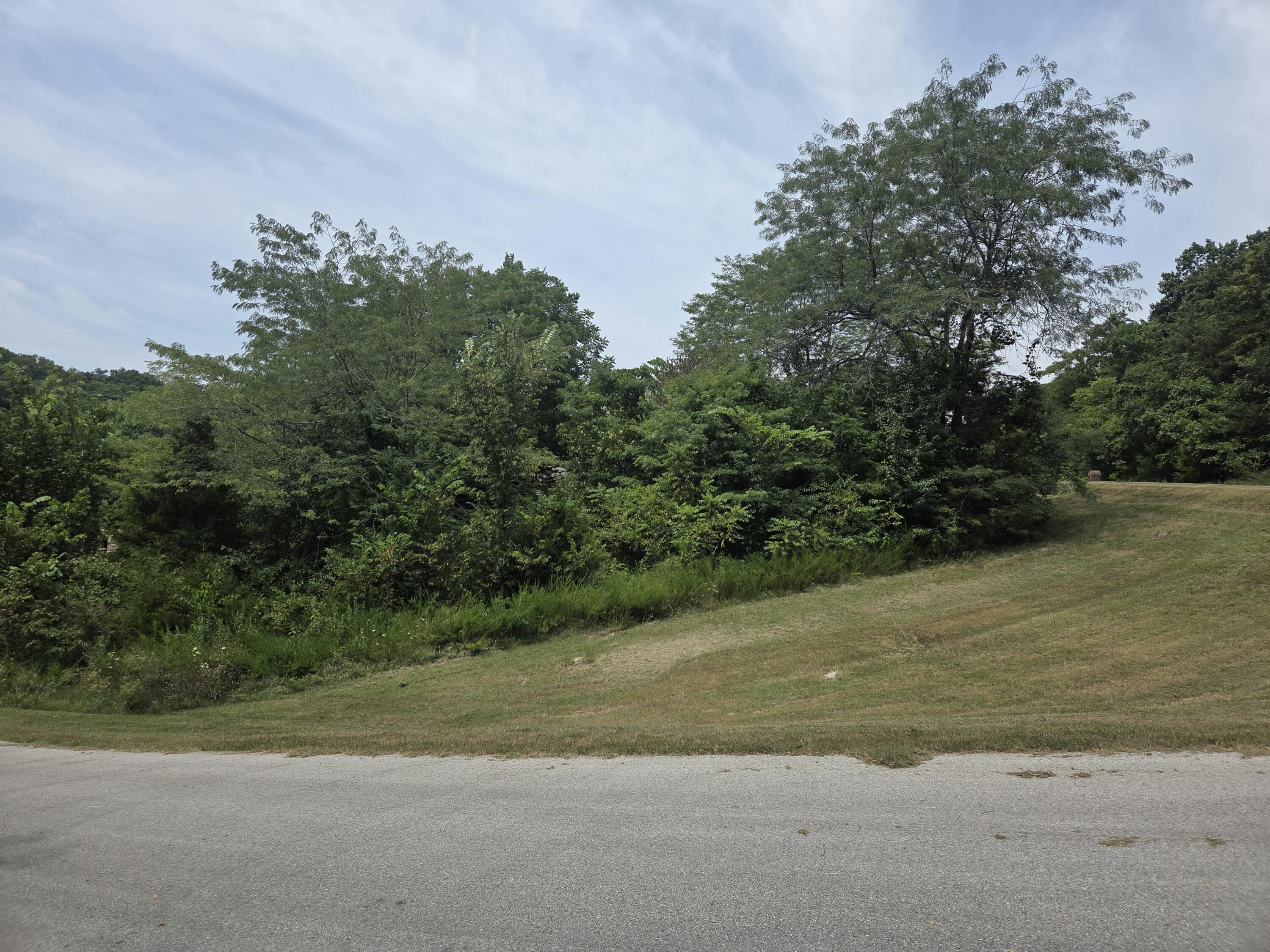 Lot 30 Roark Branch Rd Branson Road Reeds Spring, MO 65737 - Photo 4 of 16 20260723_122543