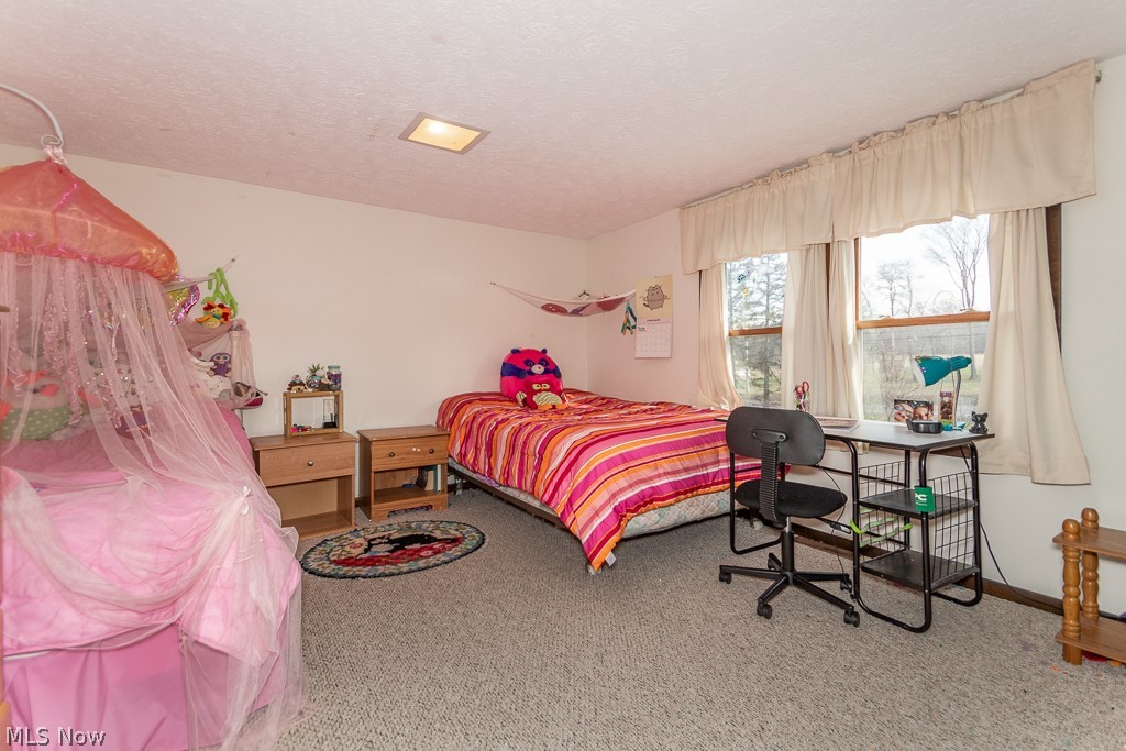 13050 Ravenna Road Chardon, OH 44024 - Photo 19 of 27