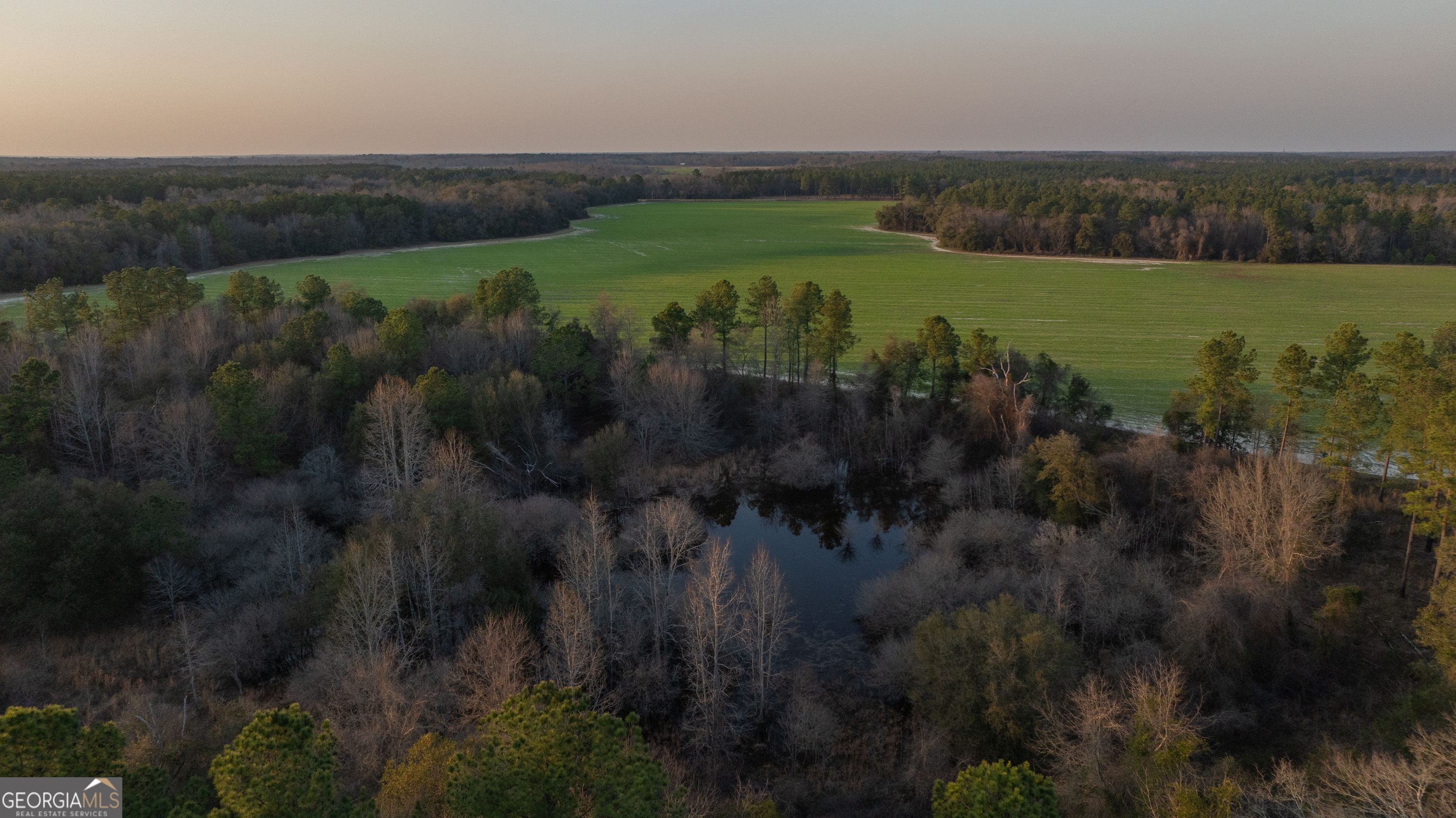 2320 Dickey Bypass Road Morgan, GA 39866 - Photo 1 of 1