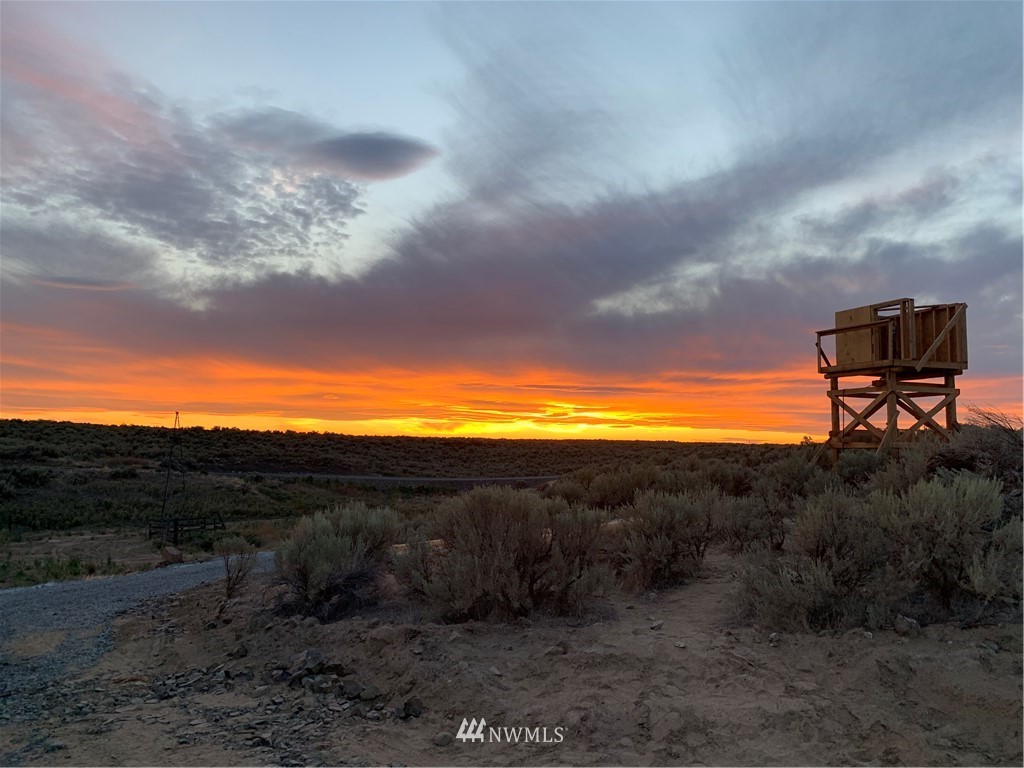 65 Eagle Springs Ranch Marlin, WA 98832 - Photo 1 of 1 a view of outdoor space and mountain