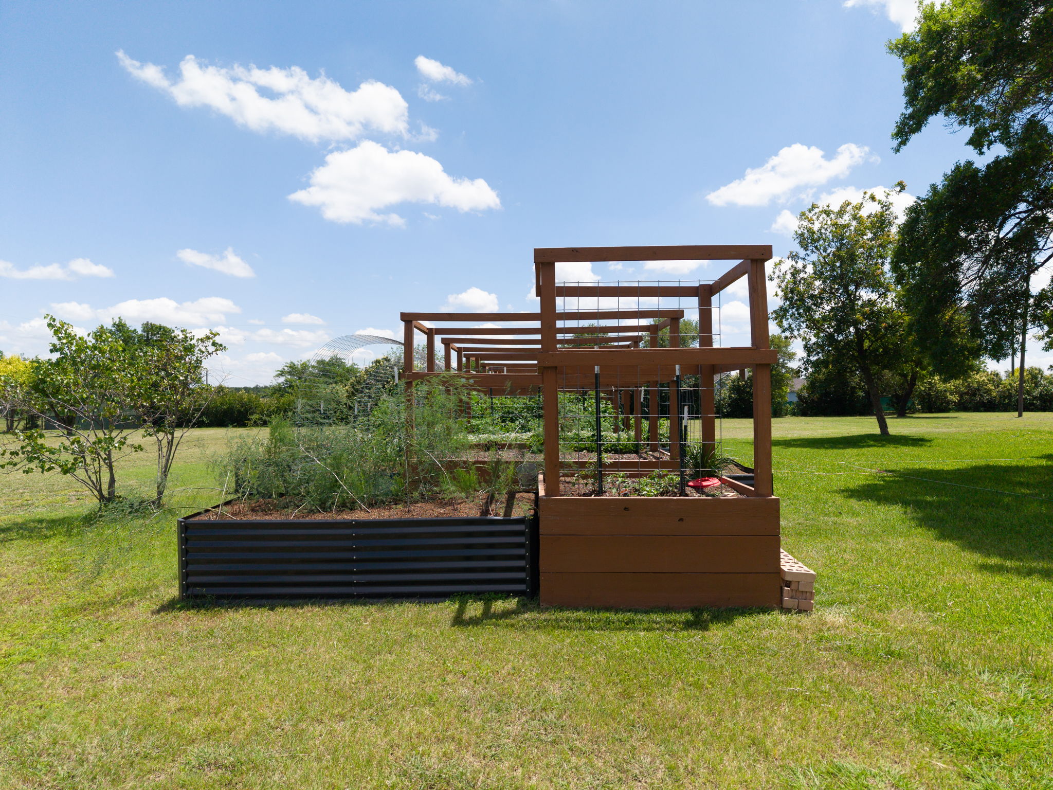 120 Rae Lane Jarrell, TX 76537 - Photo 18 of 40 Expansive lawn with a built-in garden structure featuring raised planter beds