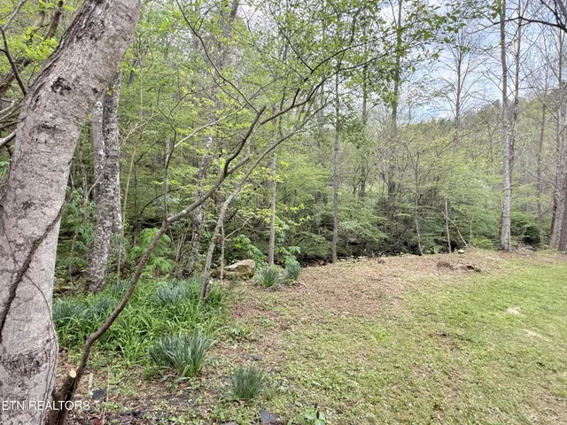 $265,000 | 739 Rock Creek Lane, La Follette, TN 37766