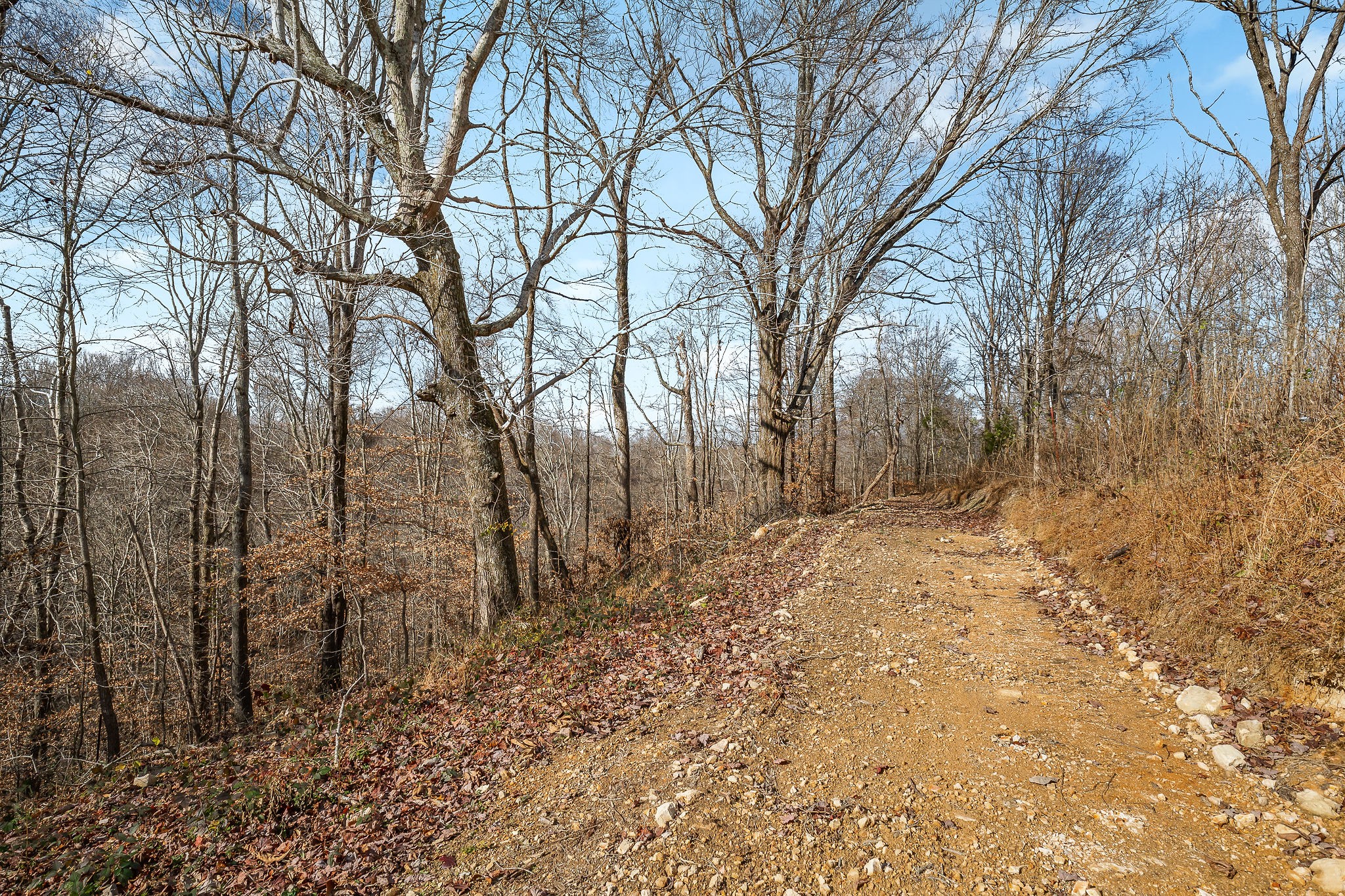 14525 Tucker Ridge Road Silver Point, TN 38582 - Photo 55 of 64 a backyard of a house with lots of trees