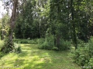 4512 Birch Drive Silverwood, MI 48760 - Photo 6 of 20 8B511DB5-5A8C-4C0D-933D-027D9752CE45.JPG