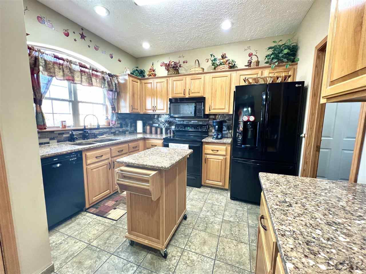18663 Rome Road Hudson, MI 49247 - Photo 19 of 45 50062604-18.JPG