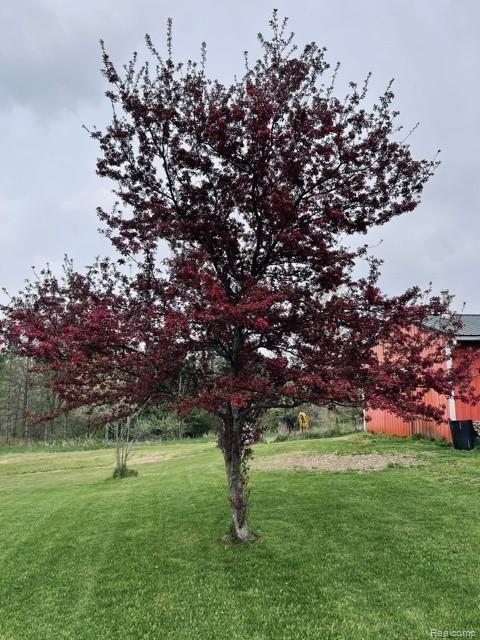5435 Galbraith Line Road Croswell, MI 48422 - Photo 8 of 19