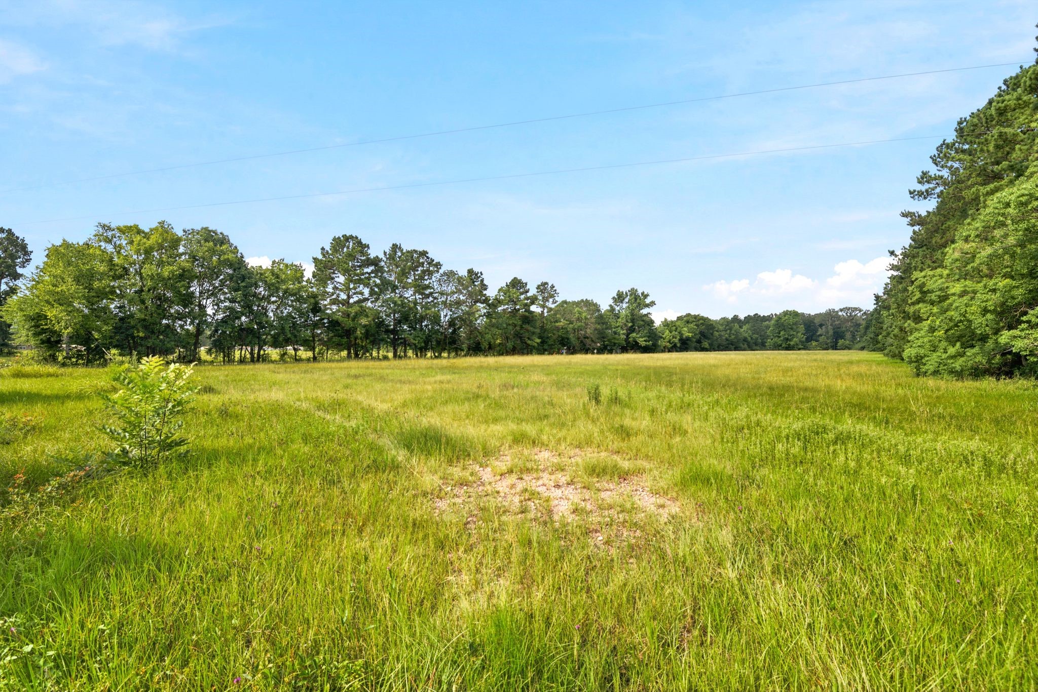 Lot 1 Mount Zion Road New Waverly, TX 77358 - Photo 12 of 33