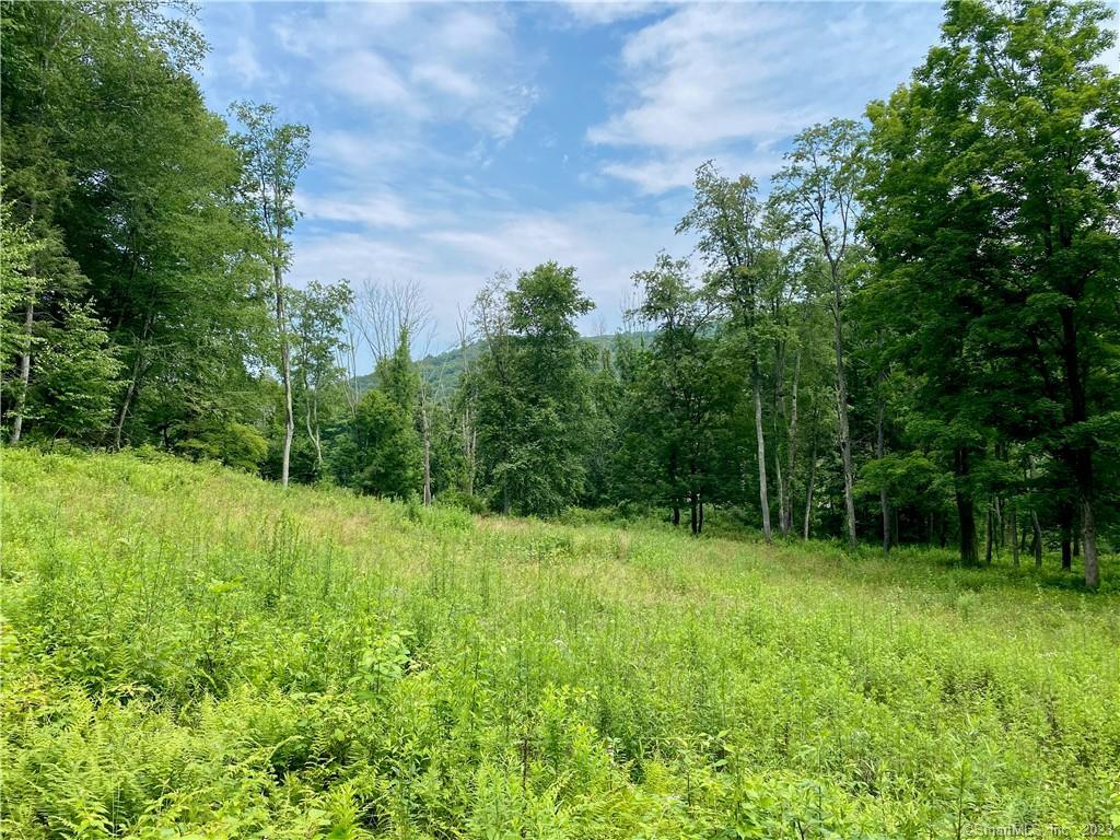 143 Macedonia Road Kent, CT 06757 - Photo 1 of 1