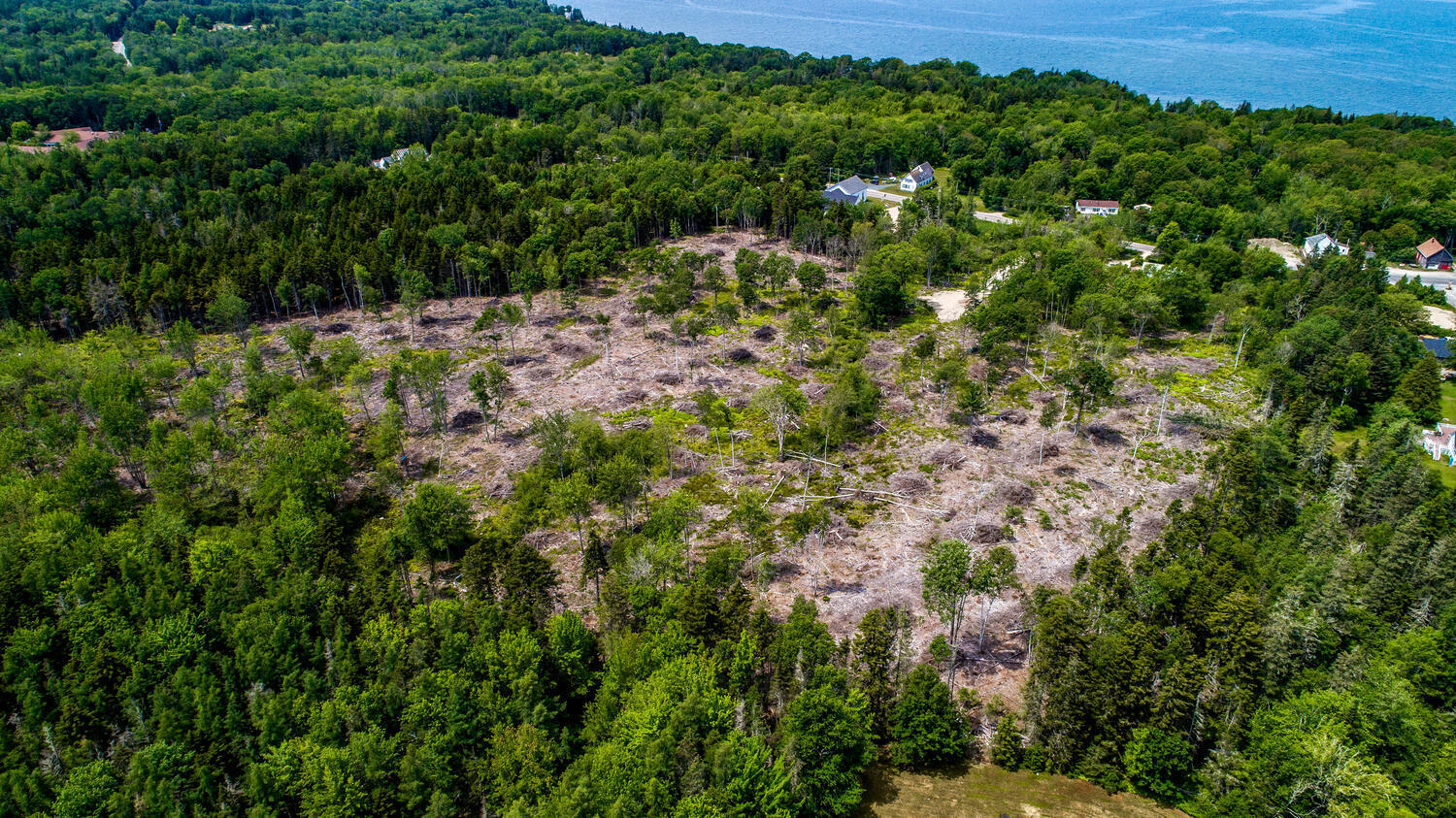 645 North Deer Isle Road Deer Isle, ME 04627 - Photo 9 of 11 20 Sea Breeze Avenue-large-037-037-DJI 0
