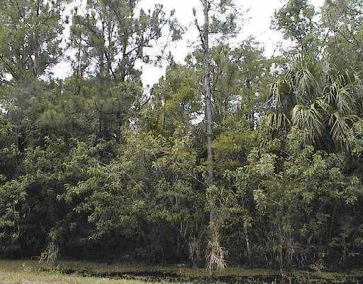 A51 West 167th Place Jupiter, FL 33478 - Photo 3 of 5 Additional Photo