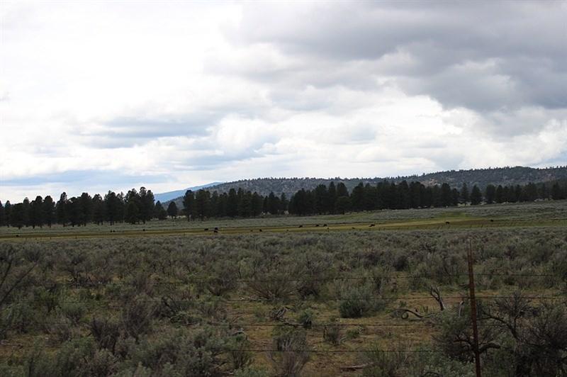 30515 Godowa Springs Road Beatty, OR 97621 - Photo 17 of 23 Additional Photo