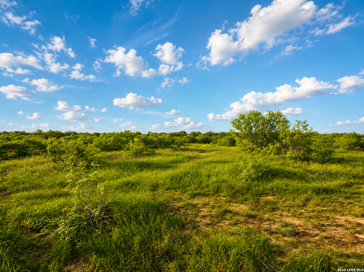 467 County Road 467 Elgin, TX 78621 - Photo 5 of 26