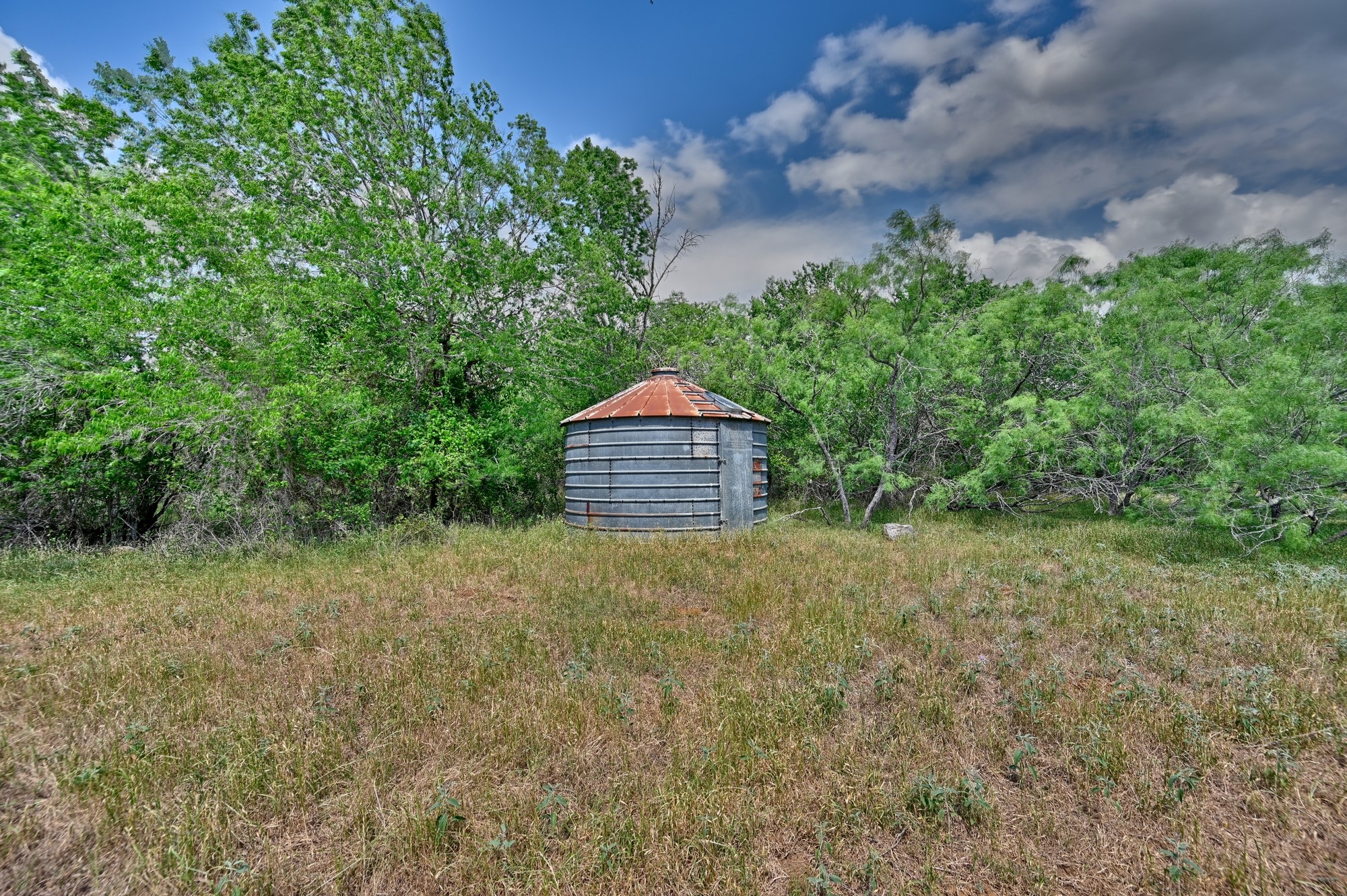 1589 Jeddo Road Rosanky, TX 78953 - Photo 11 of 18