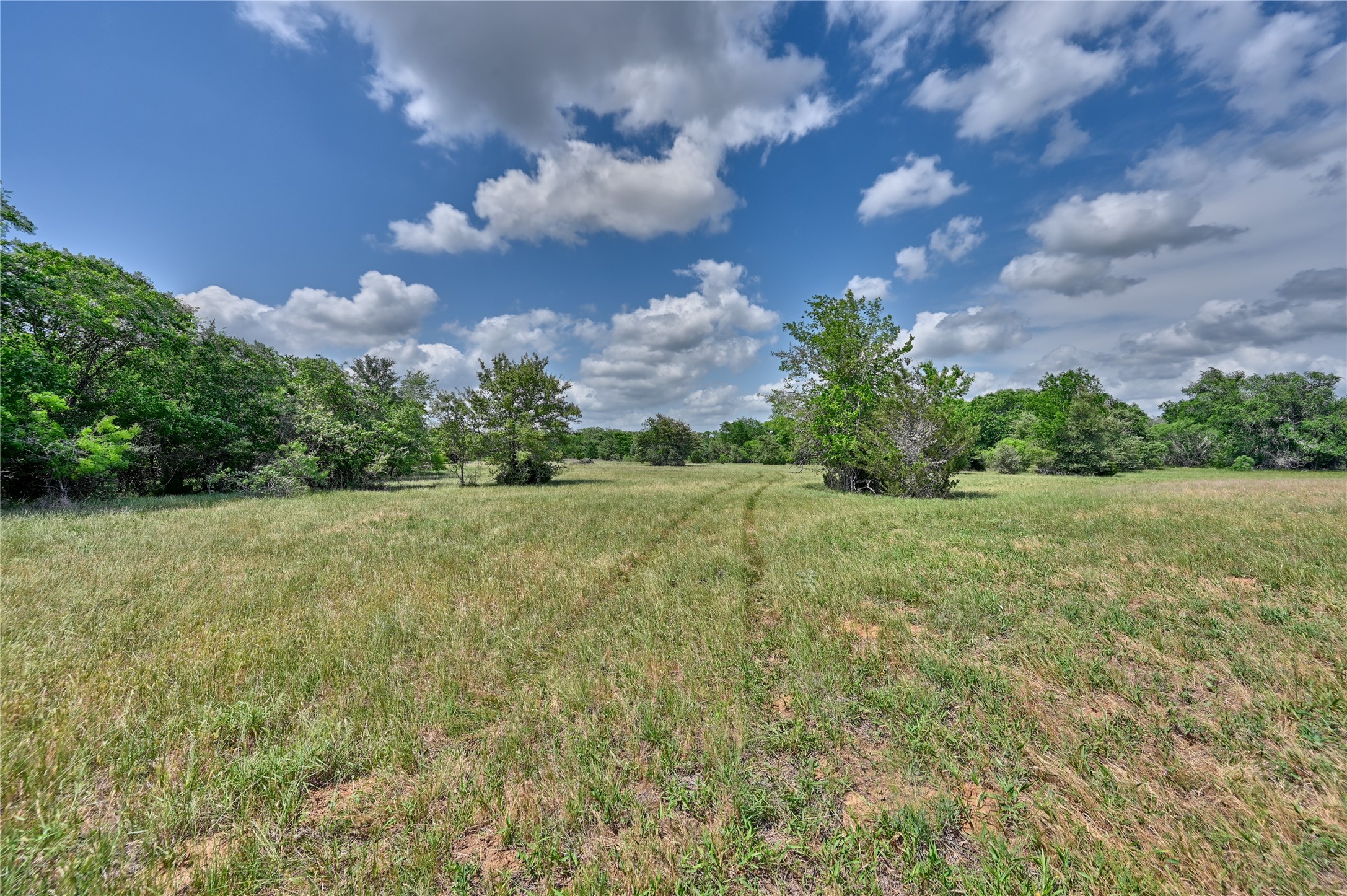 1589 Jeddo Road Rosanky, TX 78953 - Photo 13 of 18