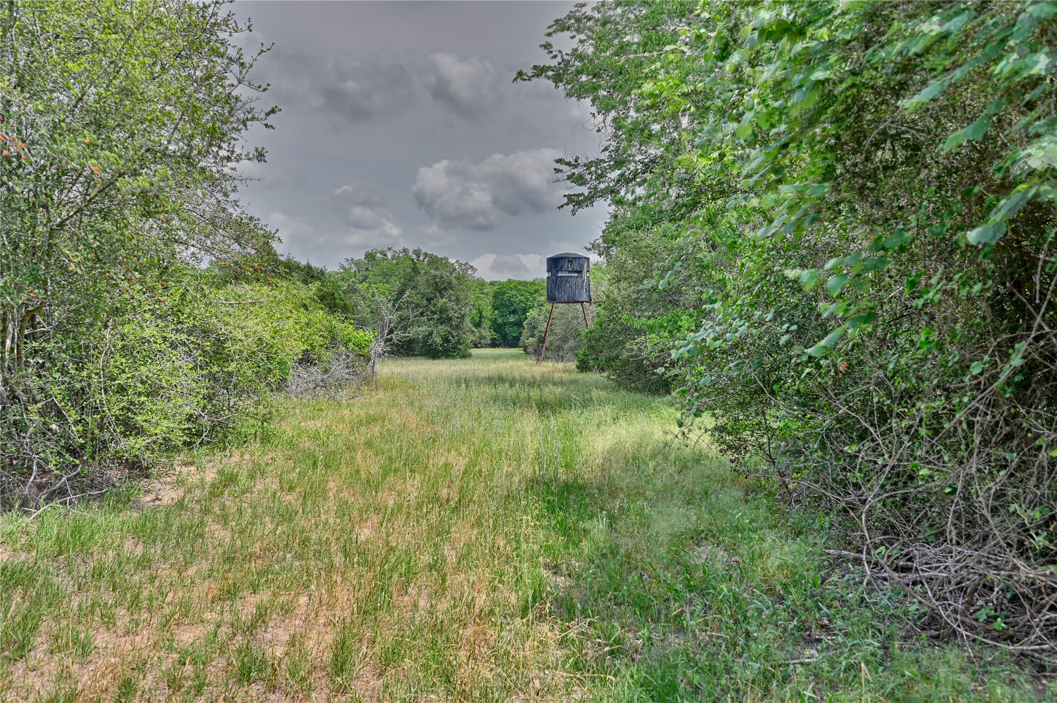 1589 Jeddo Road Rosanky, TX 78953 - Photo 14 of 18