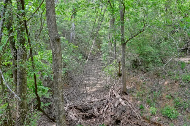 $1,450,696 | 1589 Jeddo Road, Rosanky, TX 78953