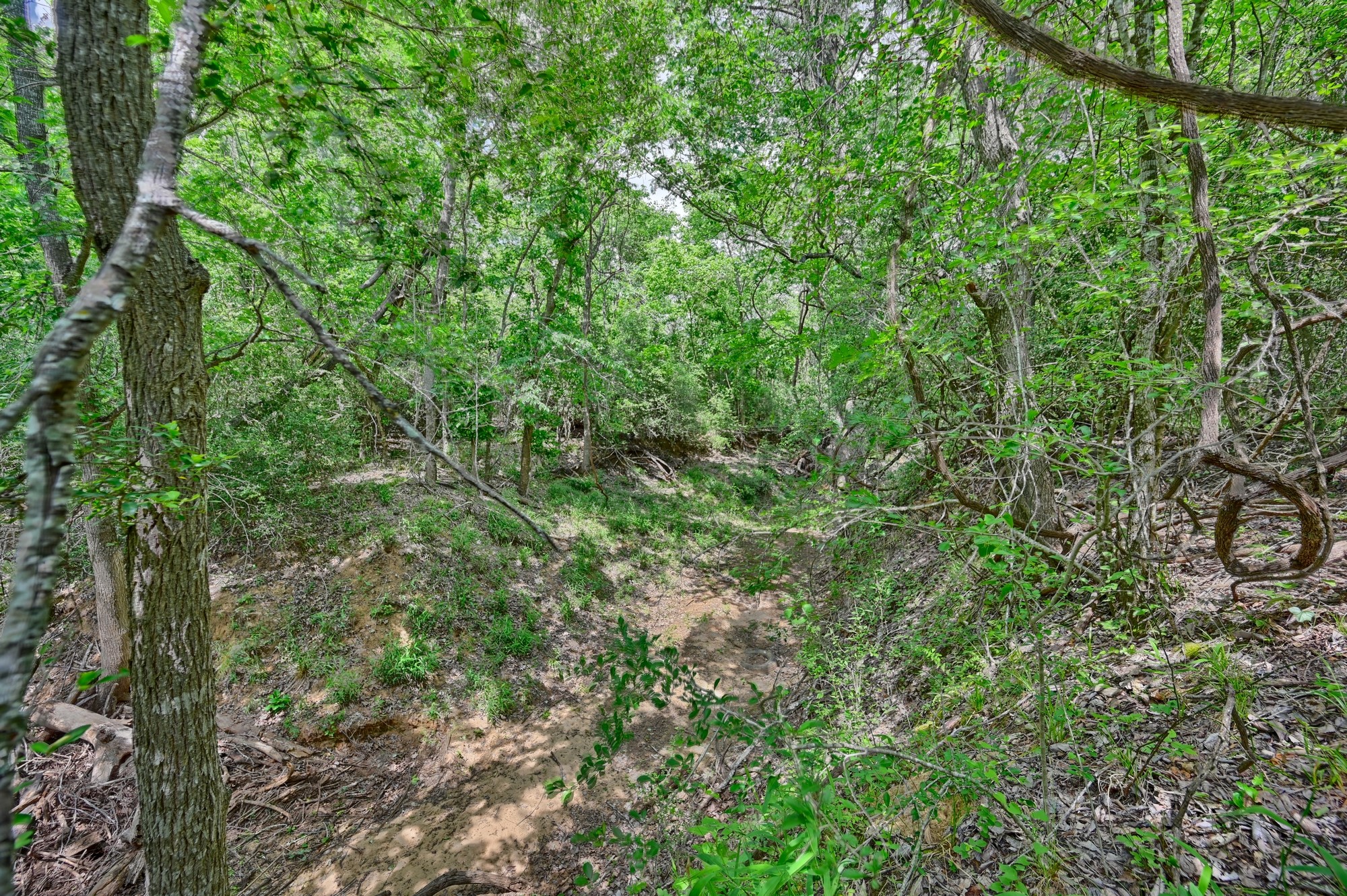 1589 Jeddo Road Rosanky, TX 78953 - Photo 17 of 18