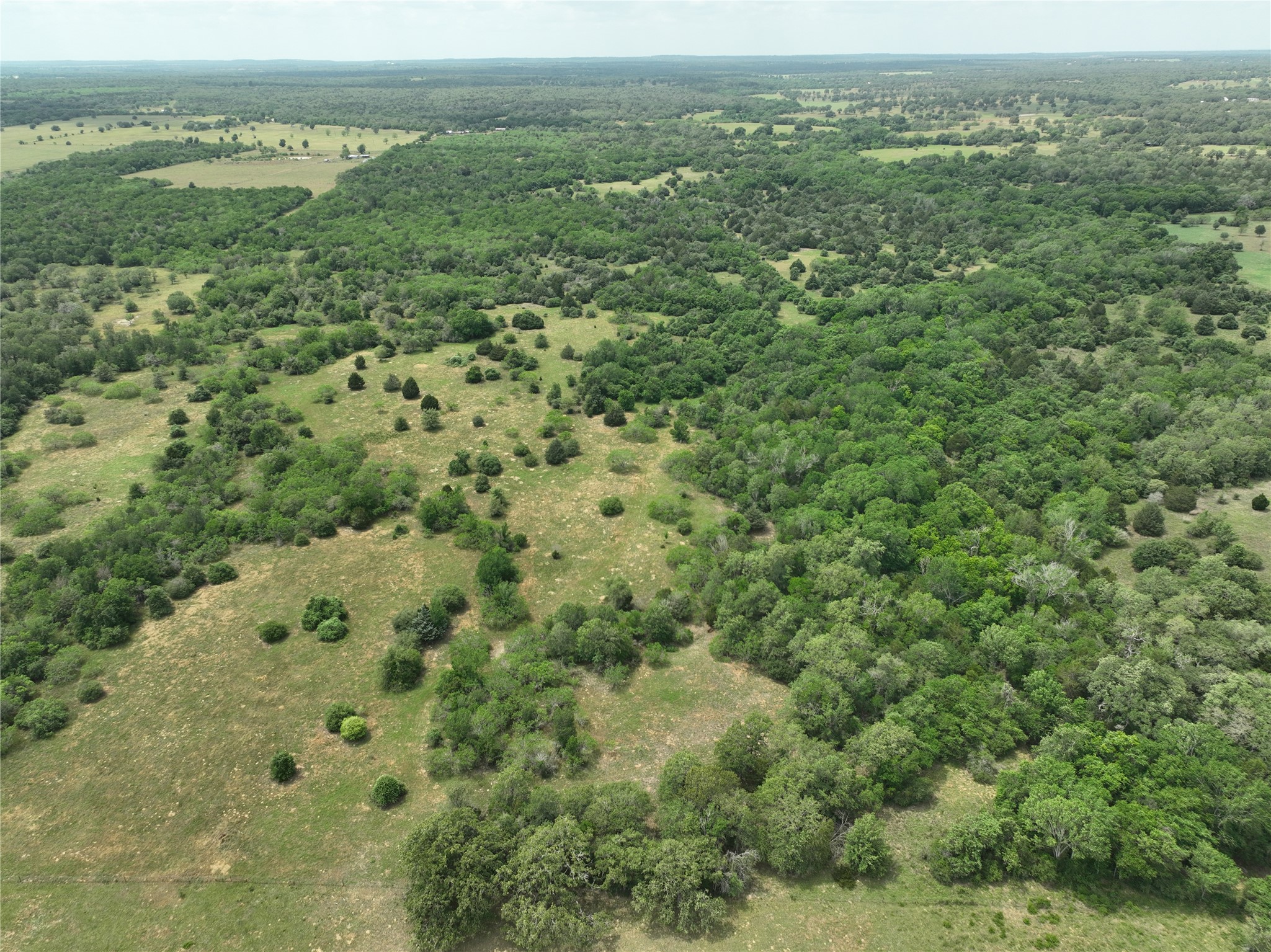 1589 Jeddo Road Rosanky, TX 78953 - Photo 18 of 18
