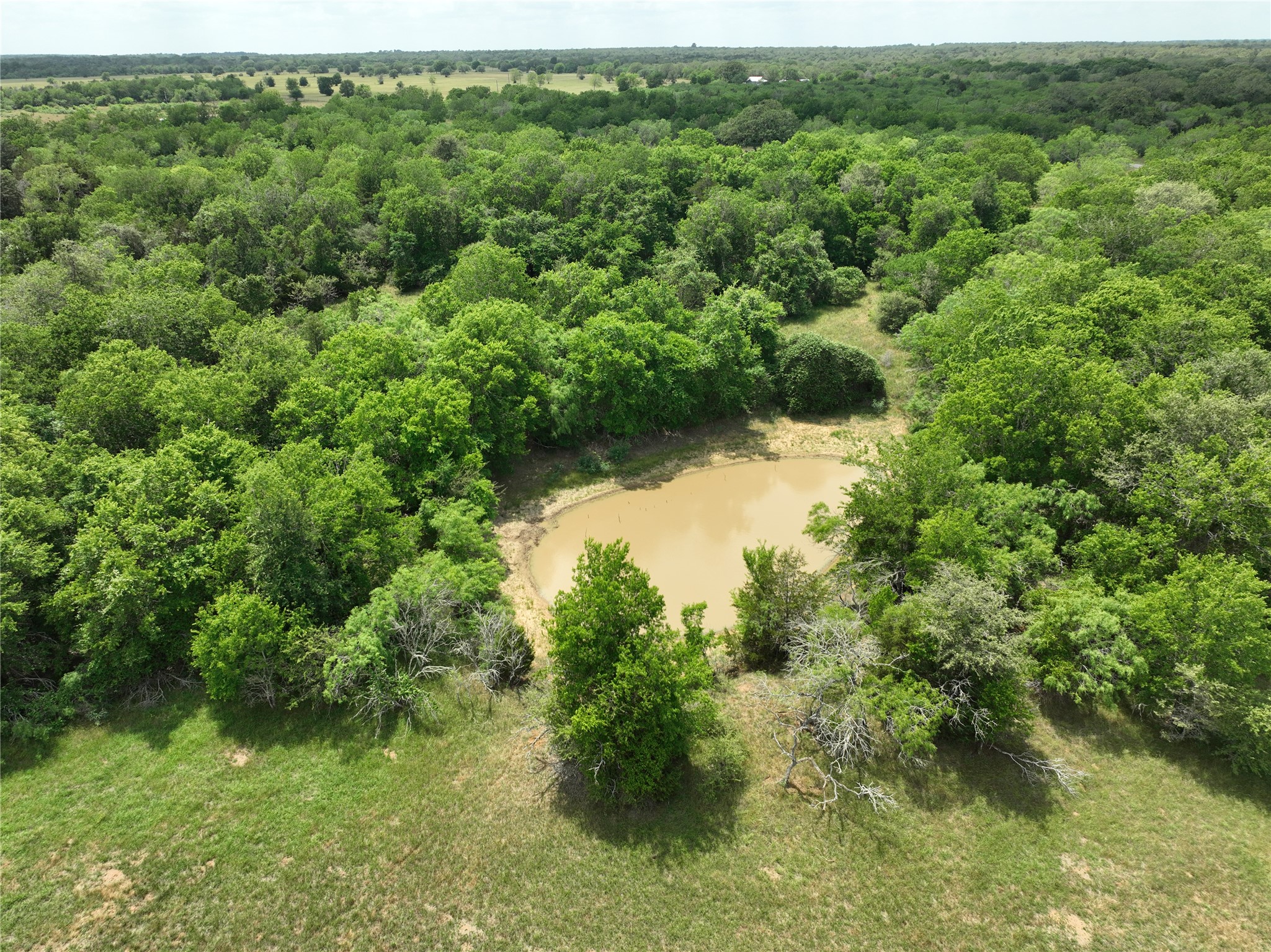 1589 Jeddo Road Rosanky, TX 78953 - Photo 8 of 18
