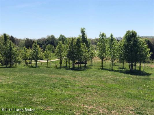255 Walnut Grove Road Ekron, KY 40117 - Photo 9 of 32 10043350-8