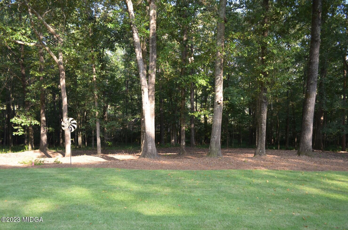 76 Riverside Landing Macon, GA 31210 - Photo 38 of 44 a view of outdoor space with trees
