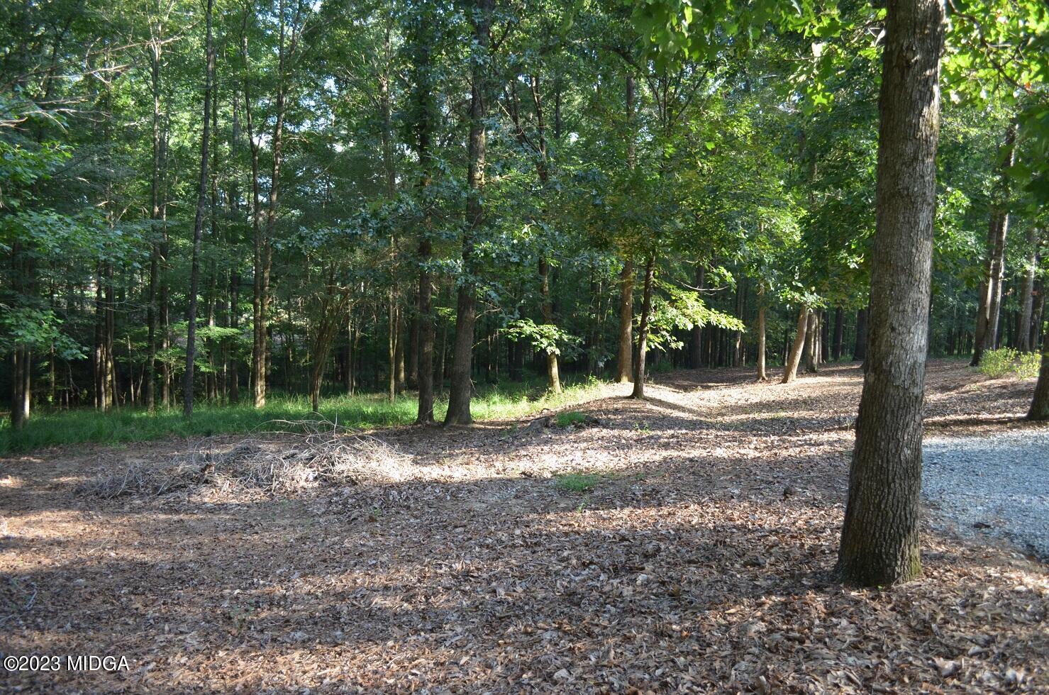 76 Riverside Landing Macon, GA 31210 - Photo 40 of 44 a view of a yard with large trees
