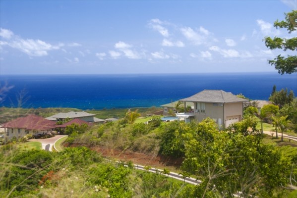 1111 Puu Road, Unit 1 Kalaheo, HI 96741 - Photo 3 of 13 Gallery Image 3