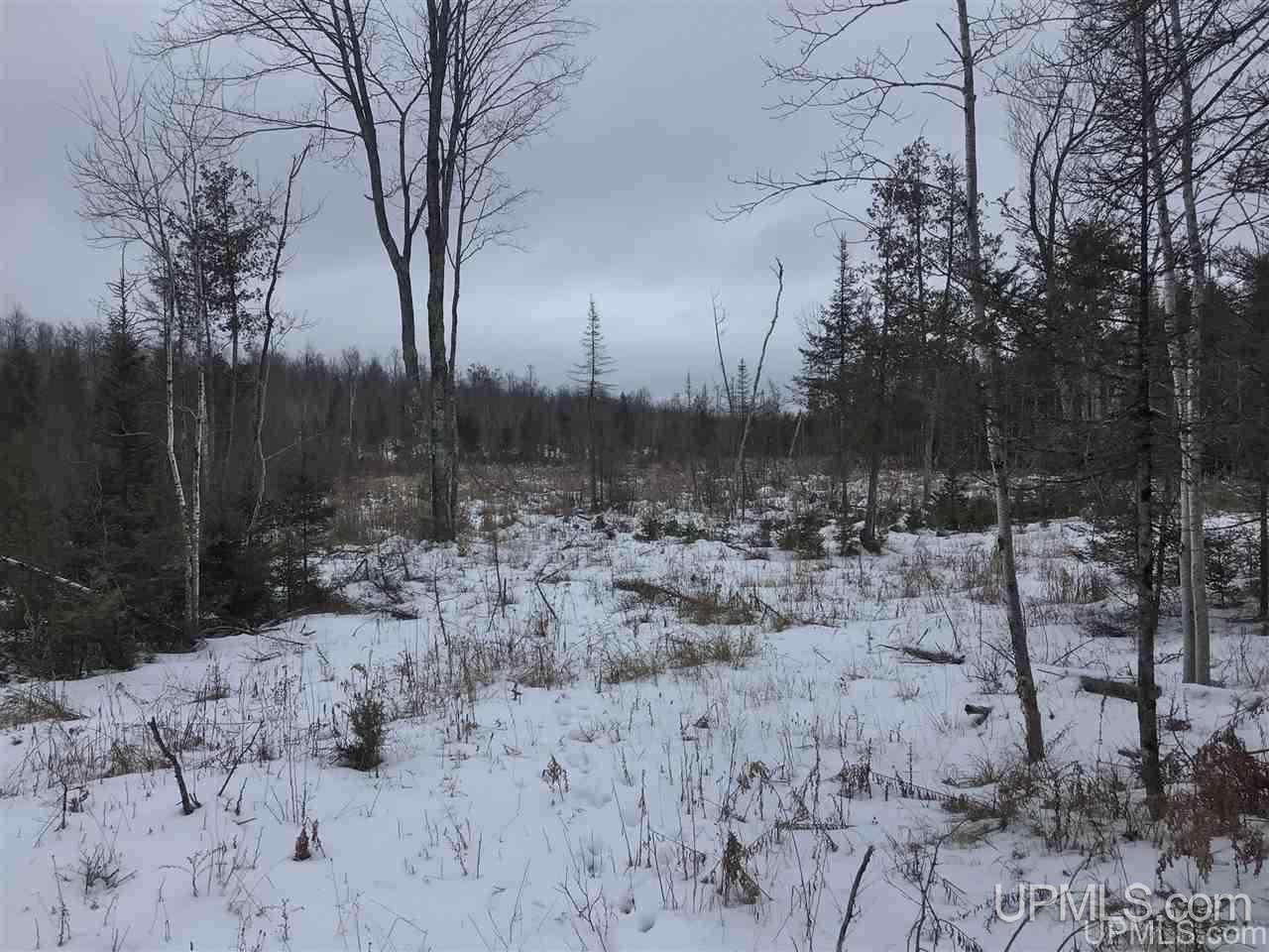 Tbd Swamp Road Powers, MI 49874 - Photo 28 of 30