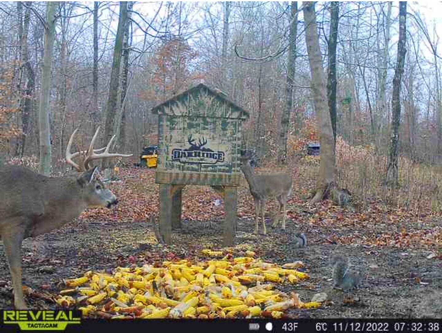 0 Virginia Ridge Road Philo, OH 43771 - Photo 28 of 29 VR 5 copy