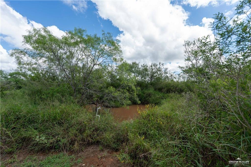 220 Delmita Road Delmita, TX 78536 - Photo 29 of 30
