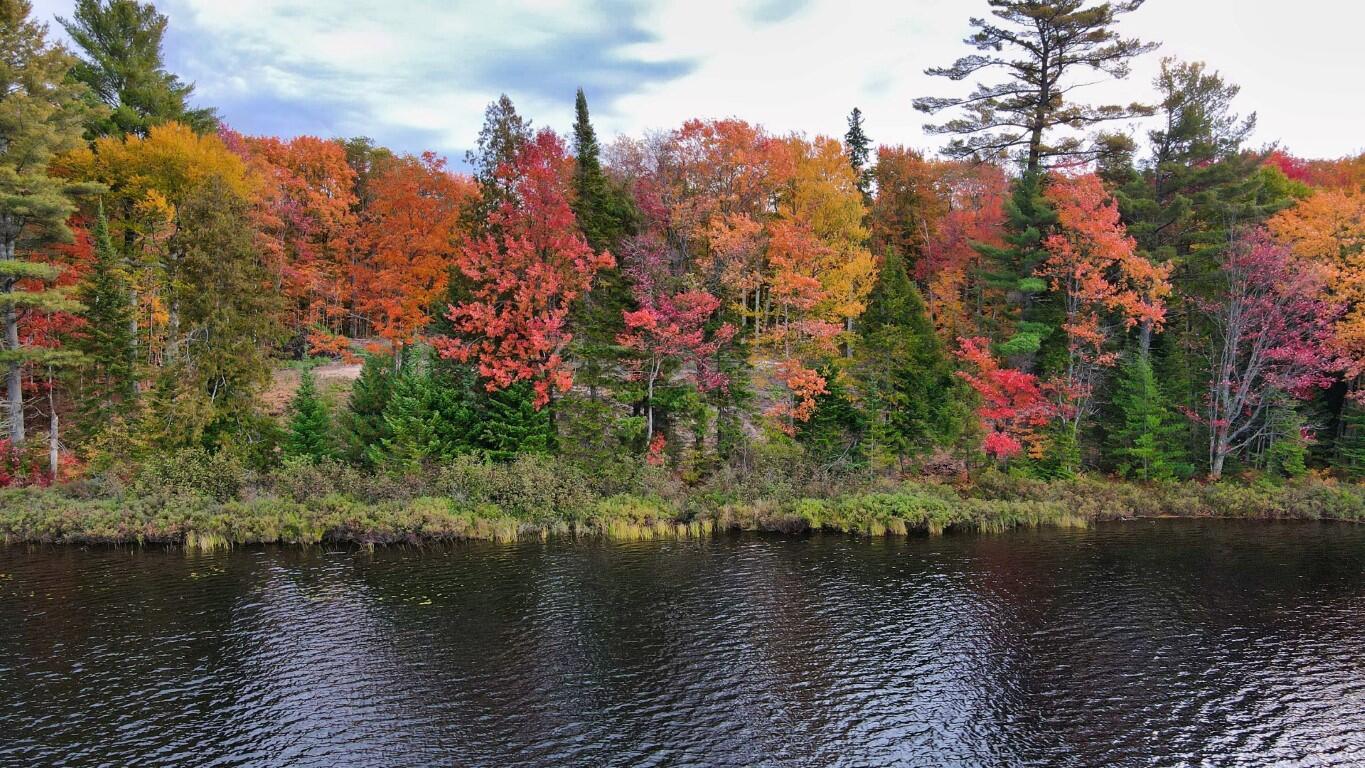 2029 Carpenter Lake Road Seney, MI 49883 - Photo 22 of 35 Gallery Image 22