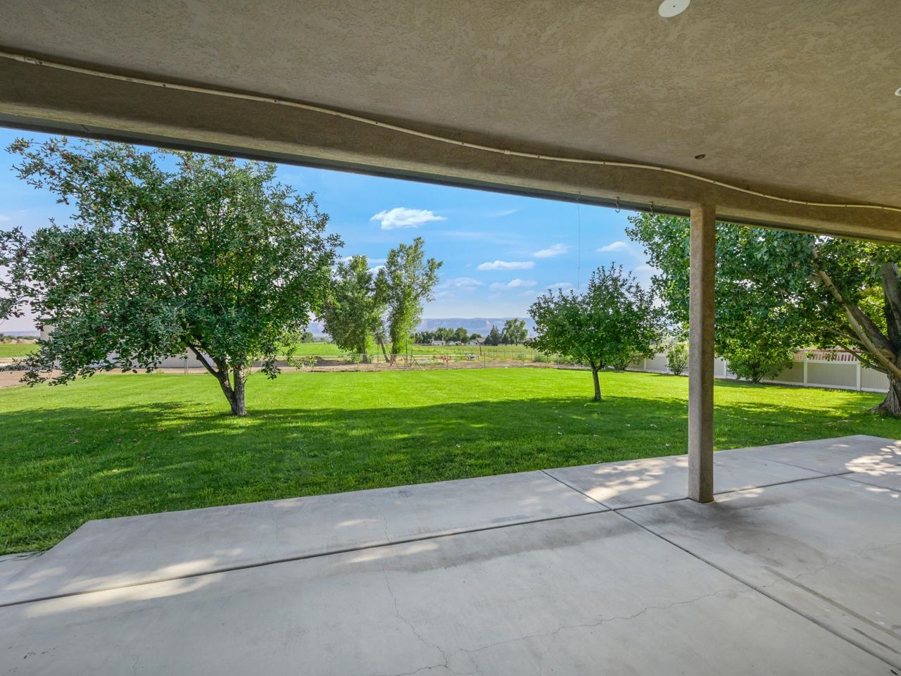 2107 I I- 1/2 Road Grand Junction, CO 81505 - Photo 31 of 42 a view of a yard with palm tree
