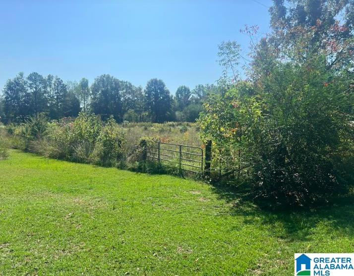 23400 East Highway 18 Berry, AL 35546 - Photo 13 of 18