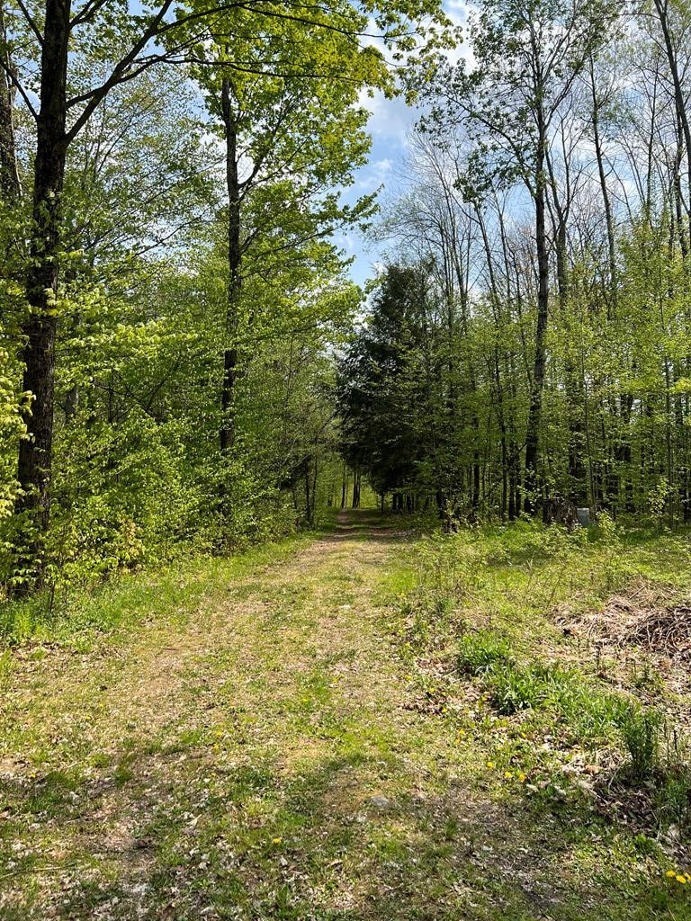 356 Healy Road Chateaugay, NY 12920 - Photo 3 of 55 Gallery Image 3