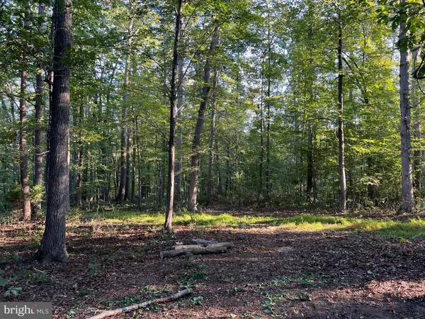a view of swimming pool with a yard