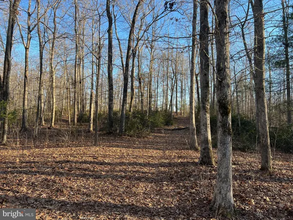 a view of a backyard of the house