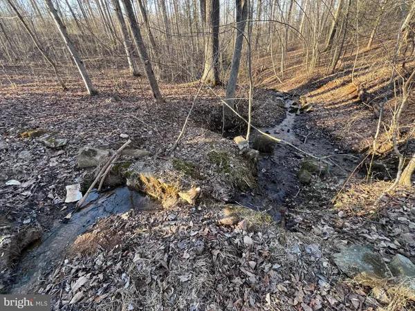 a fire hydrant in the middle of a forest