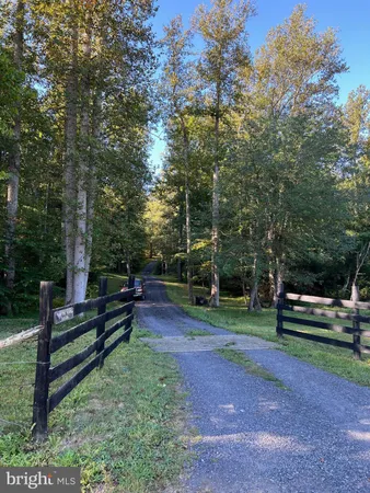 a view of park benches sitting below a green tree