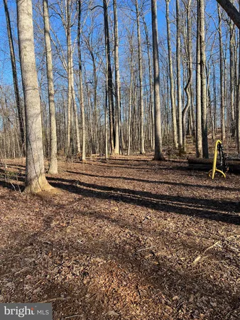 a black and white photo of a door