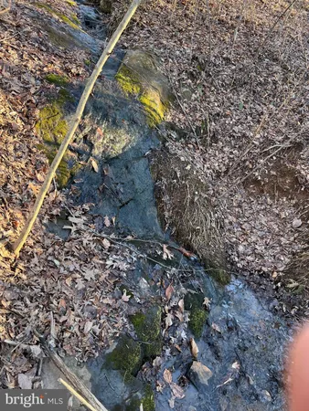 a view of water from a yard
