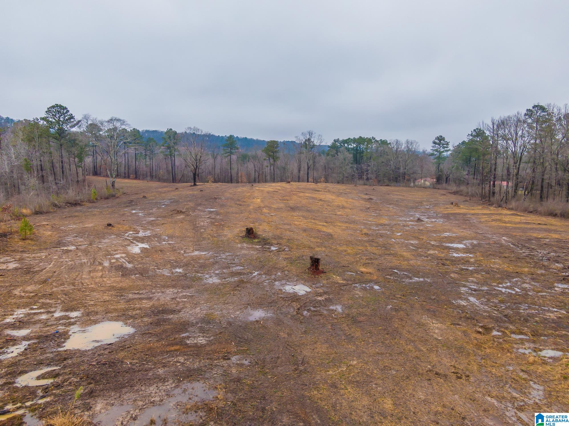 1991 Nixon Road, Unit 1 Bessemer, AL 35022 - Photo 17 of 20