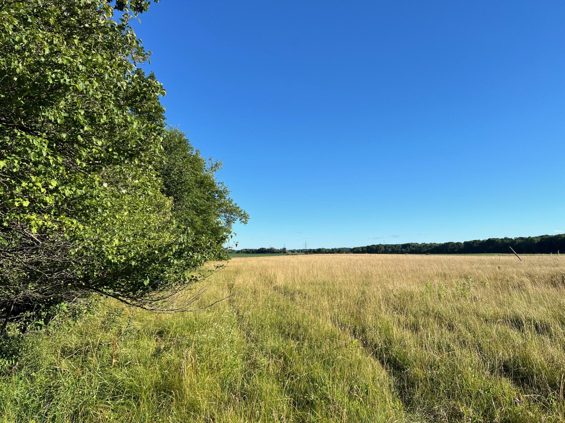16204 Holden Road, Unit B1 Galien, MI 49113 - Photo 4 of 10 Lot B-1