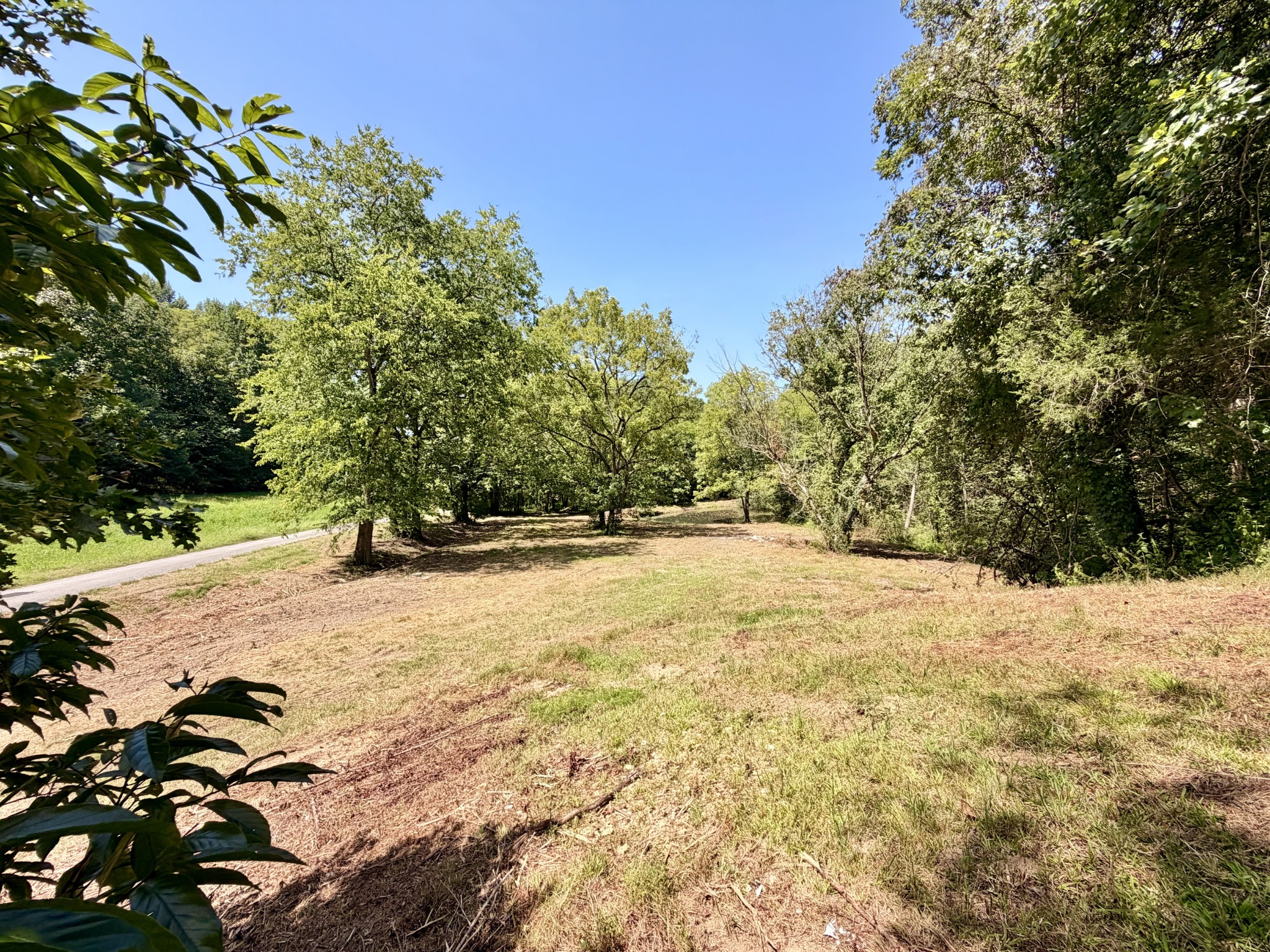 877 Hanna Branch Road Prospect, TN 38477 - Photo 5 of 49 Gallery Image 5