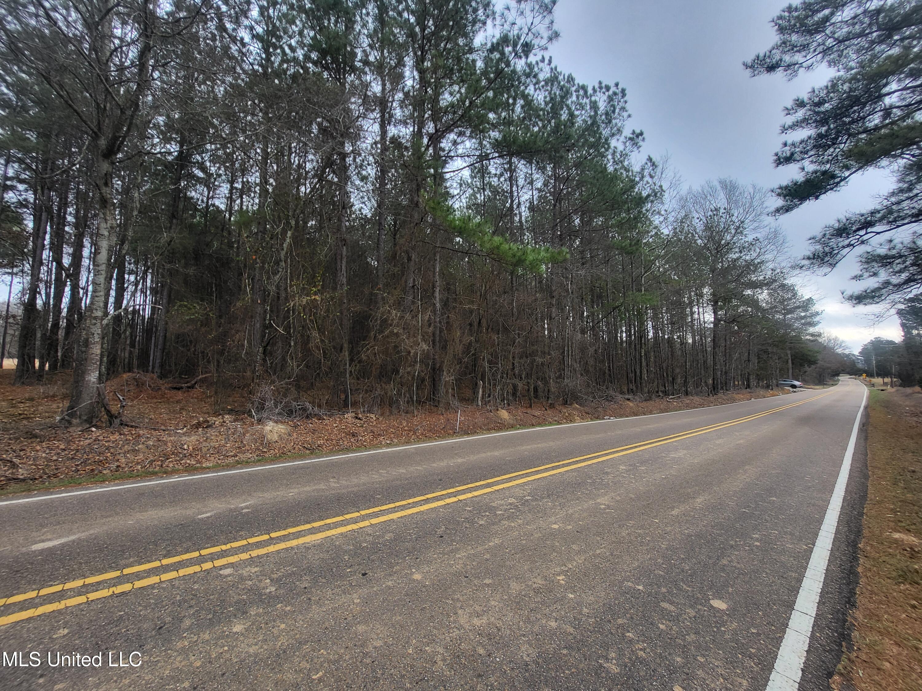 Lot B Monterey Pearl, MS 39208 - Photo 4 of 5 20250211_083904