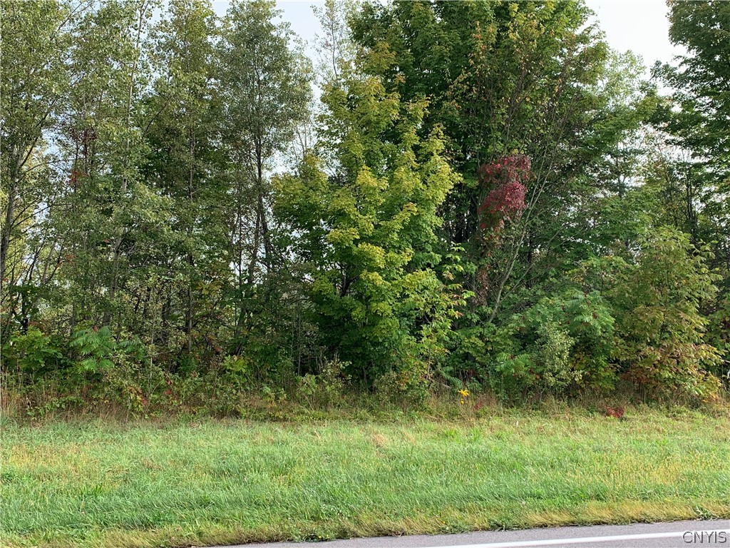 0 Co Rt 45 Fulton, NY 13069 - Photo 1 of 1 Gallery Image 1