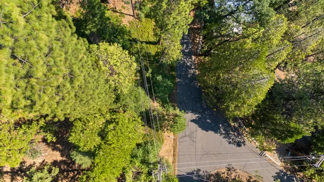 a plant that is sitting in a garden