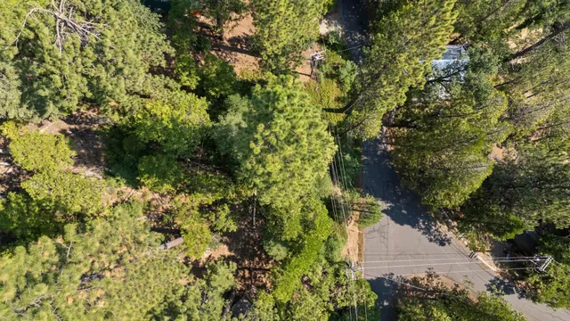 a view of a garden with plants